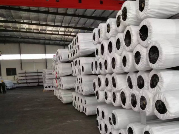 經(jīng)編滌綸土工格柵